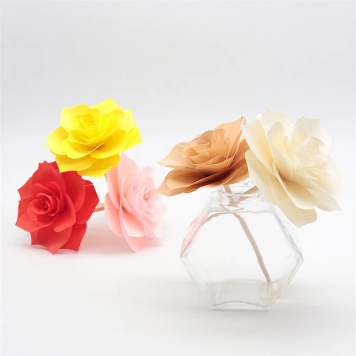 Sola Flowers